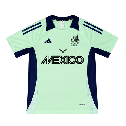 MEXICO Celestial